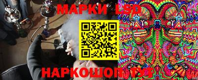 Альфа ПВП Дубна
