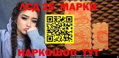 Альфа ПВП Дубна