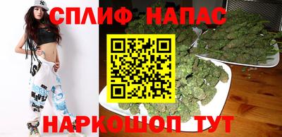 Альфа ПВП Дубна