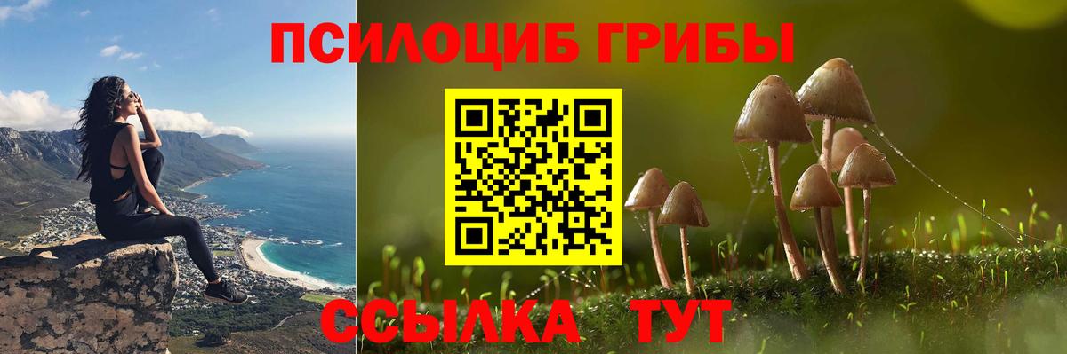Великие Луки  Псилоцибиновые грибы Psilocybine cubensis  Псилоцибиновые грибы ЛСД  Вход с VPN 